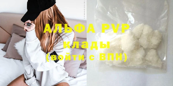 мяу мяу мука Михайловск