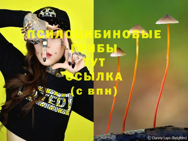 героин Михайлов