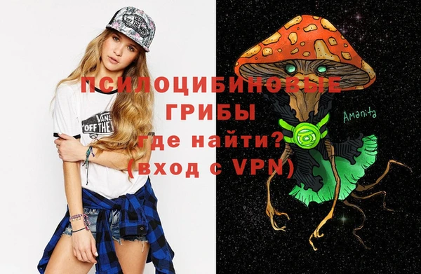 мяу мяу мука Михайловск