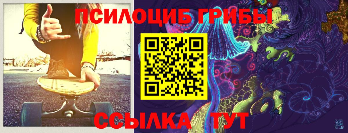 Псилоцибиновые грибы GOLDEN TEACHER  Псилоцибиновые грибы прущие грибы  Геленджик 