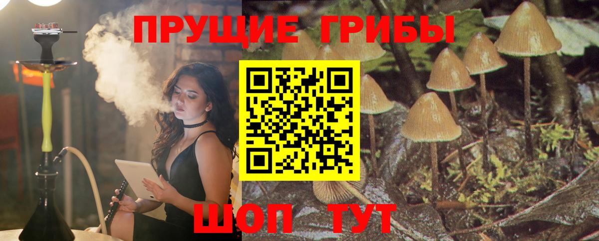Геленджик  Псилоцибиновые грибы MAGIC MUSHROOMS  Вход с VPN 