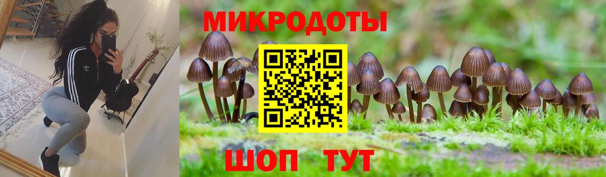 Галлюциногенные грибы MAGIC MUSHROOMS Геленджик